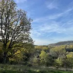 Gribouillis